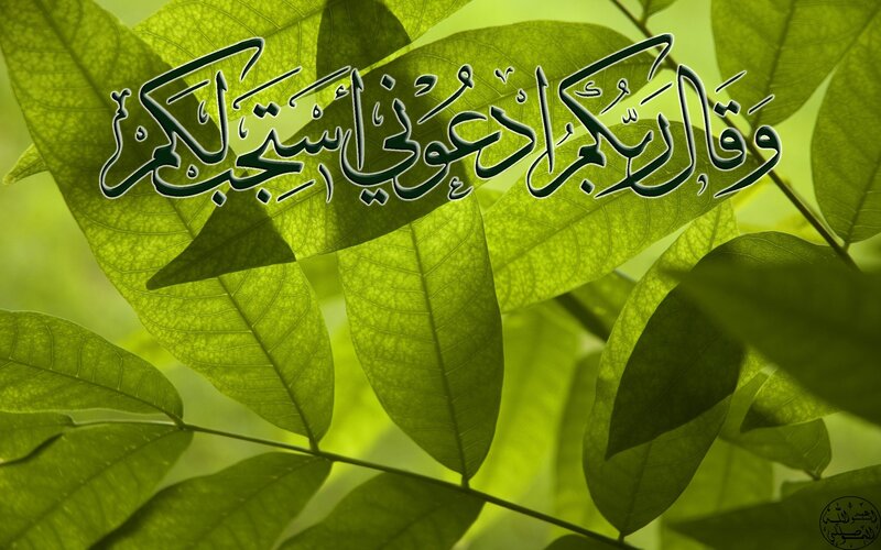 Green Leaves with Text — Serene