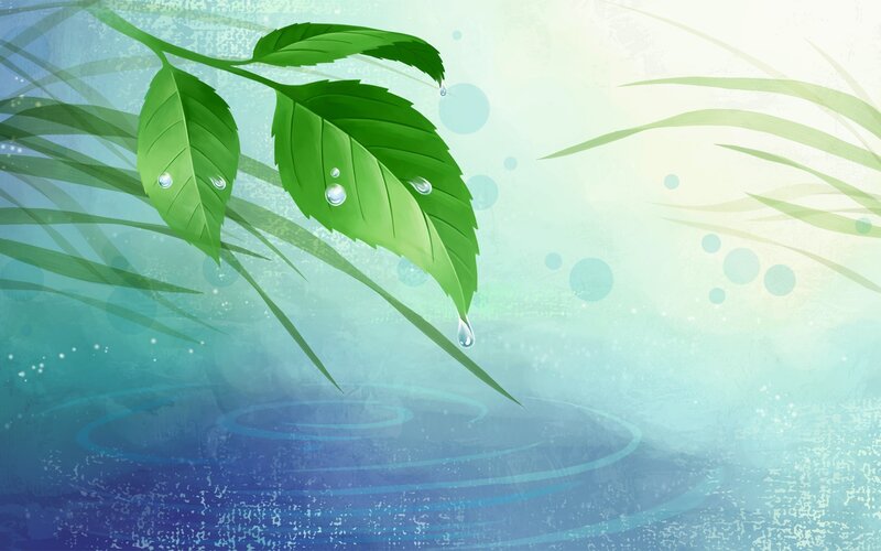 Green leaves with water droplets