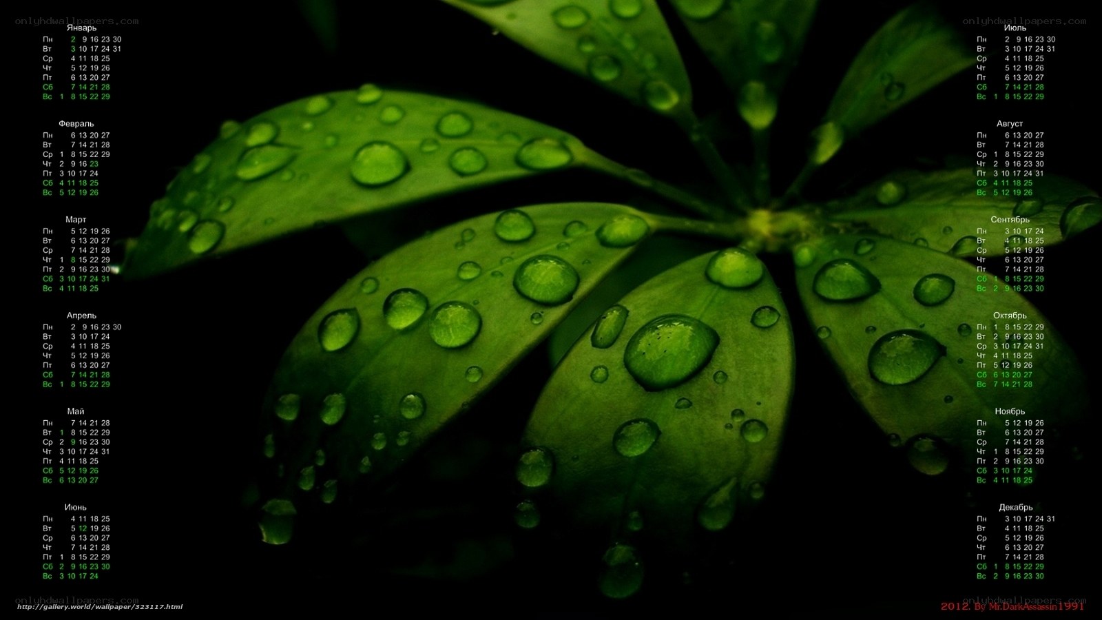 Green leaves with water droplets