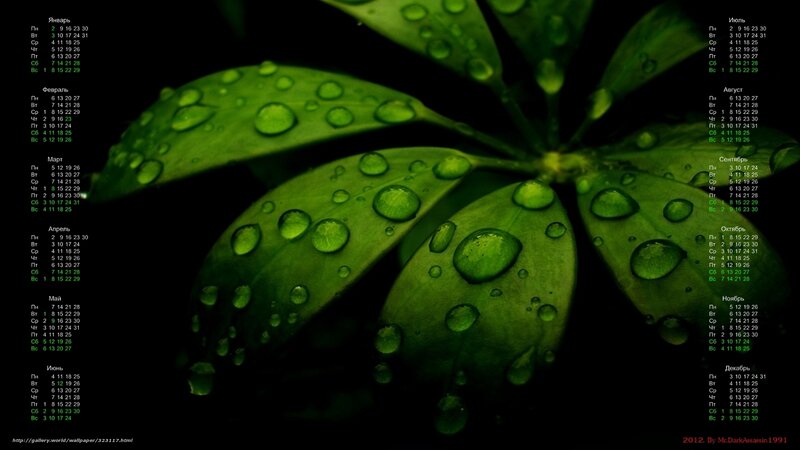 Green Leaves with Water Droplets — Dramatic, Photograph, Calendar