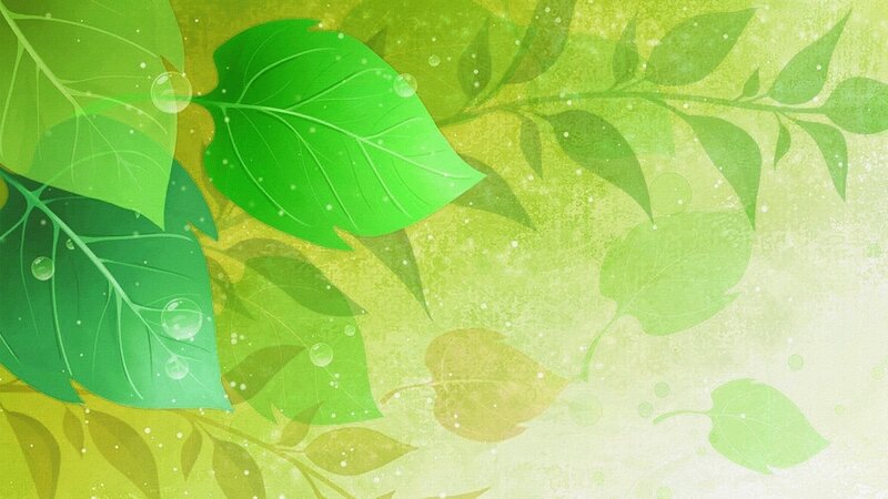 Green Leaves with Water Droplets — Serene, Digital Art