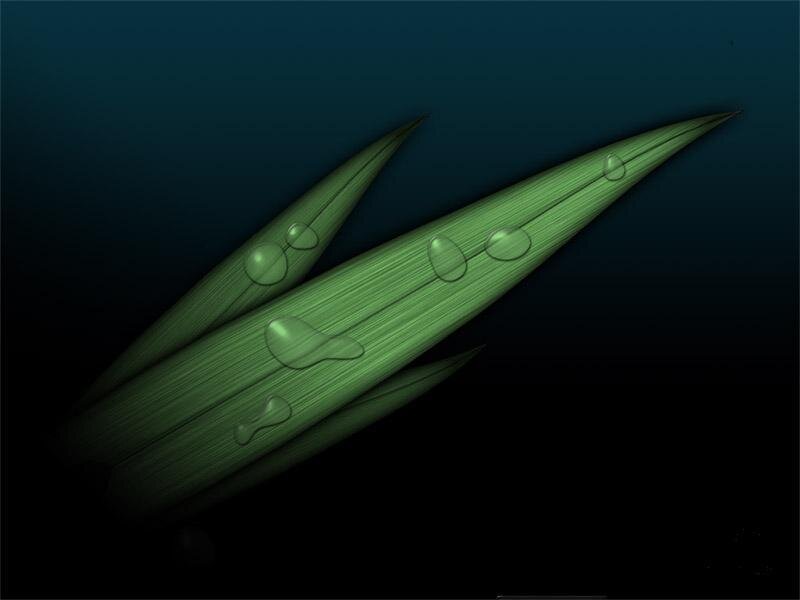 Green Leaves with Water Droplets — Serene, Digital Art, Water Droplets, Dark Background