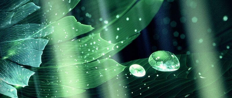 Green Leaves with Water Droplets — Serene, Digital Art, Water Droplets