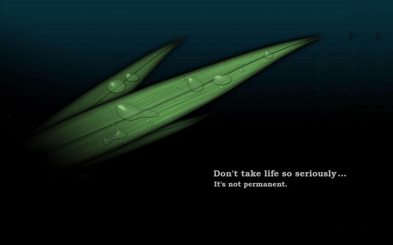 Green Leaves with Water Droplets — Serene, Night, Digital Art