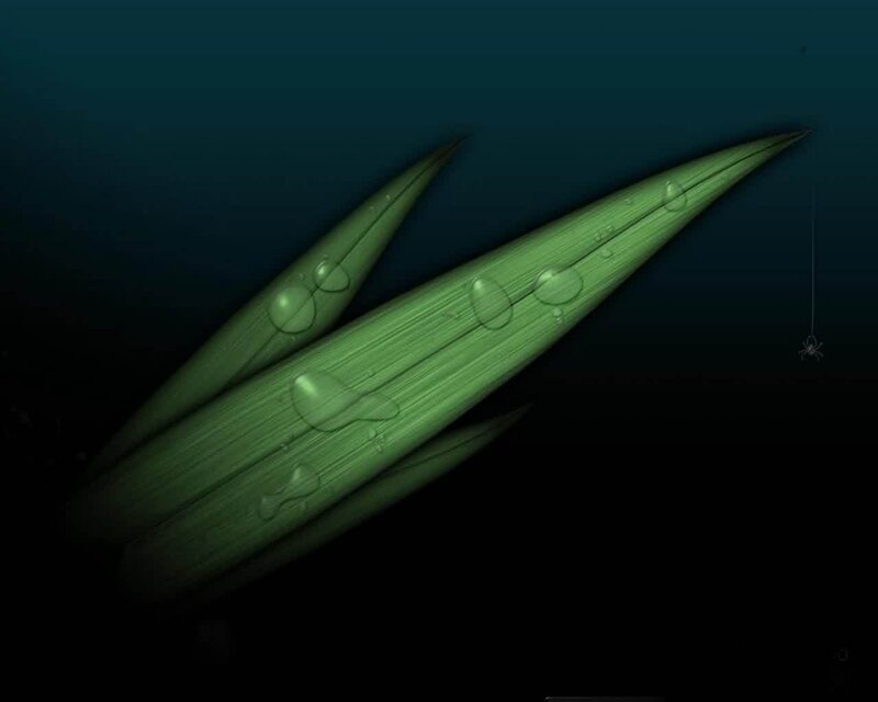 Green Leaves with Water Droplets — Serene, Night, Digital Art, Water Droplets