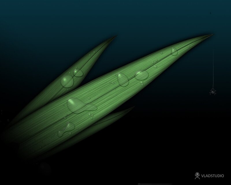 Green Leaves with Water Droplets — Serene, Night
