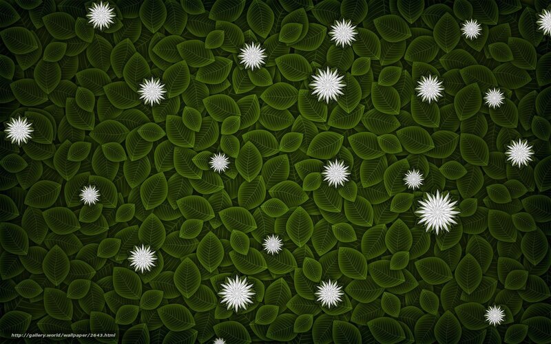 green leaves with white flowers