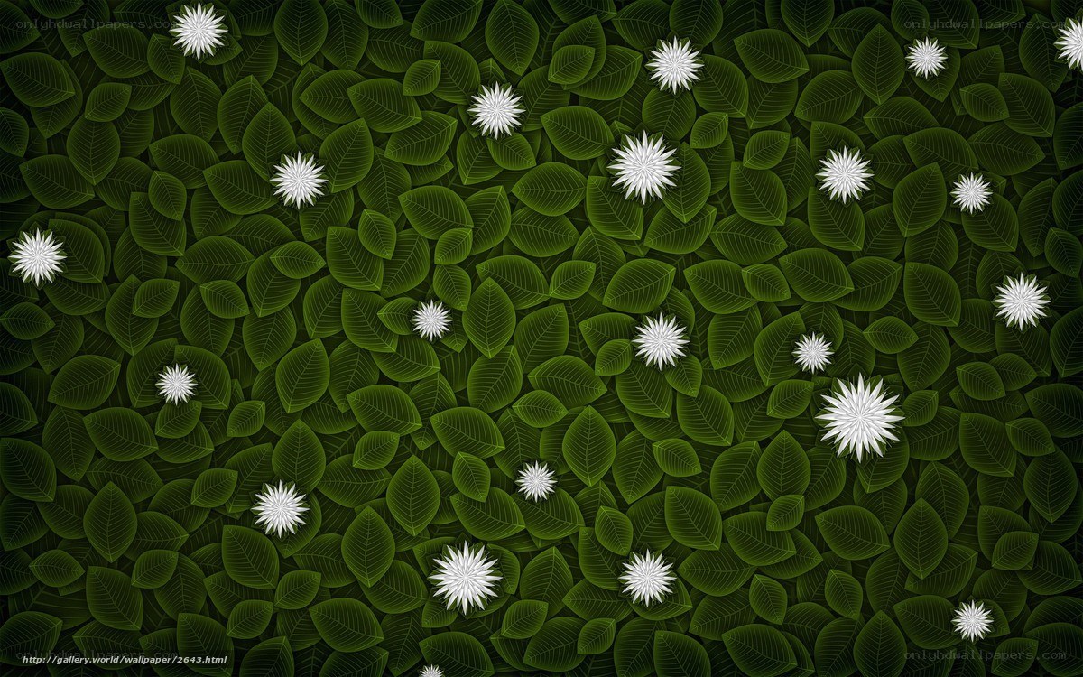 green leaves with white flowers