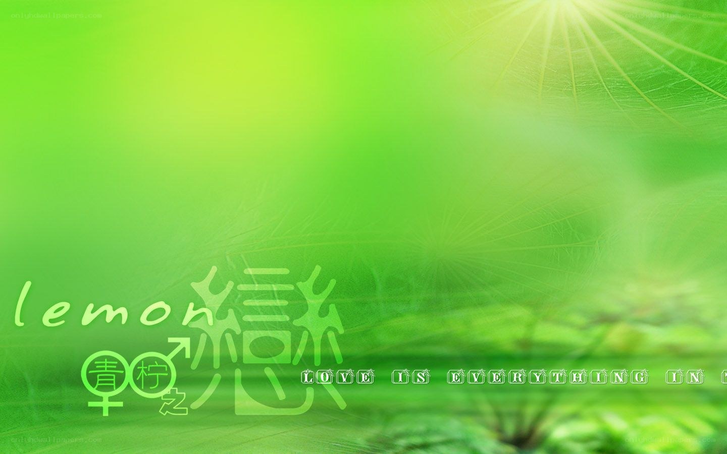 green lemon love background