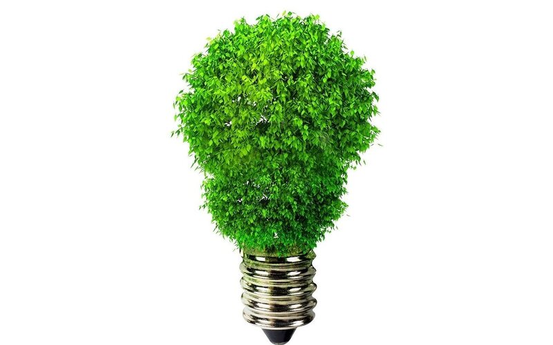green light bulb tree