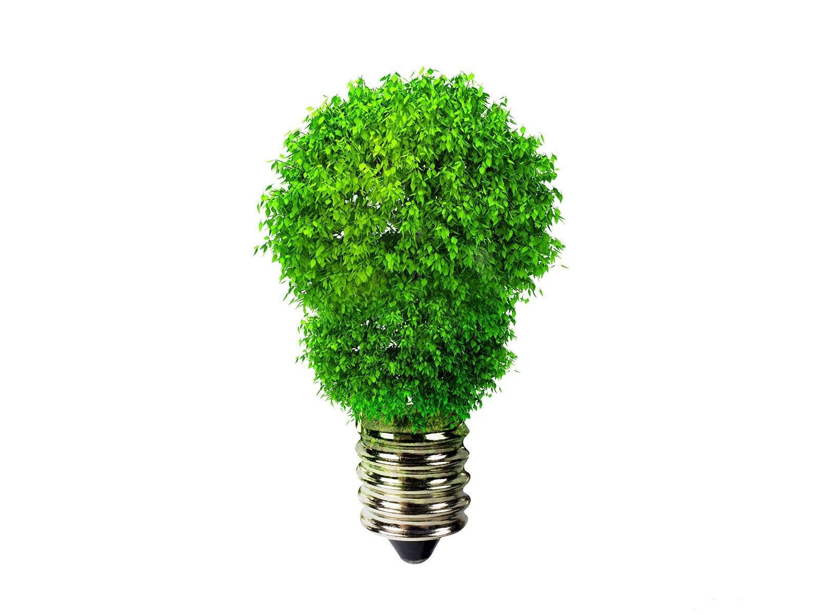 green light bulb tree