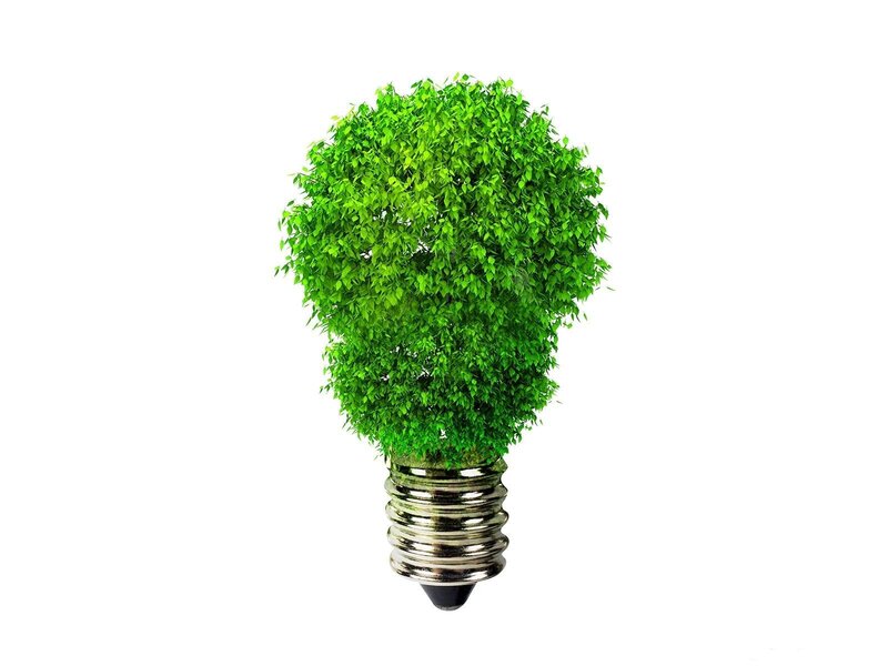green light bulb tree