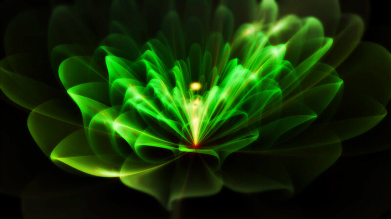 Green Light Flower