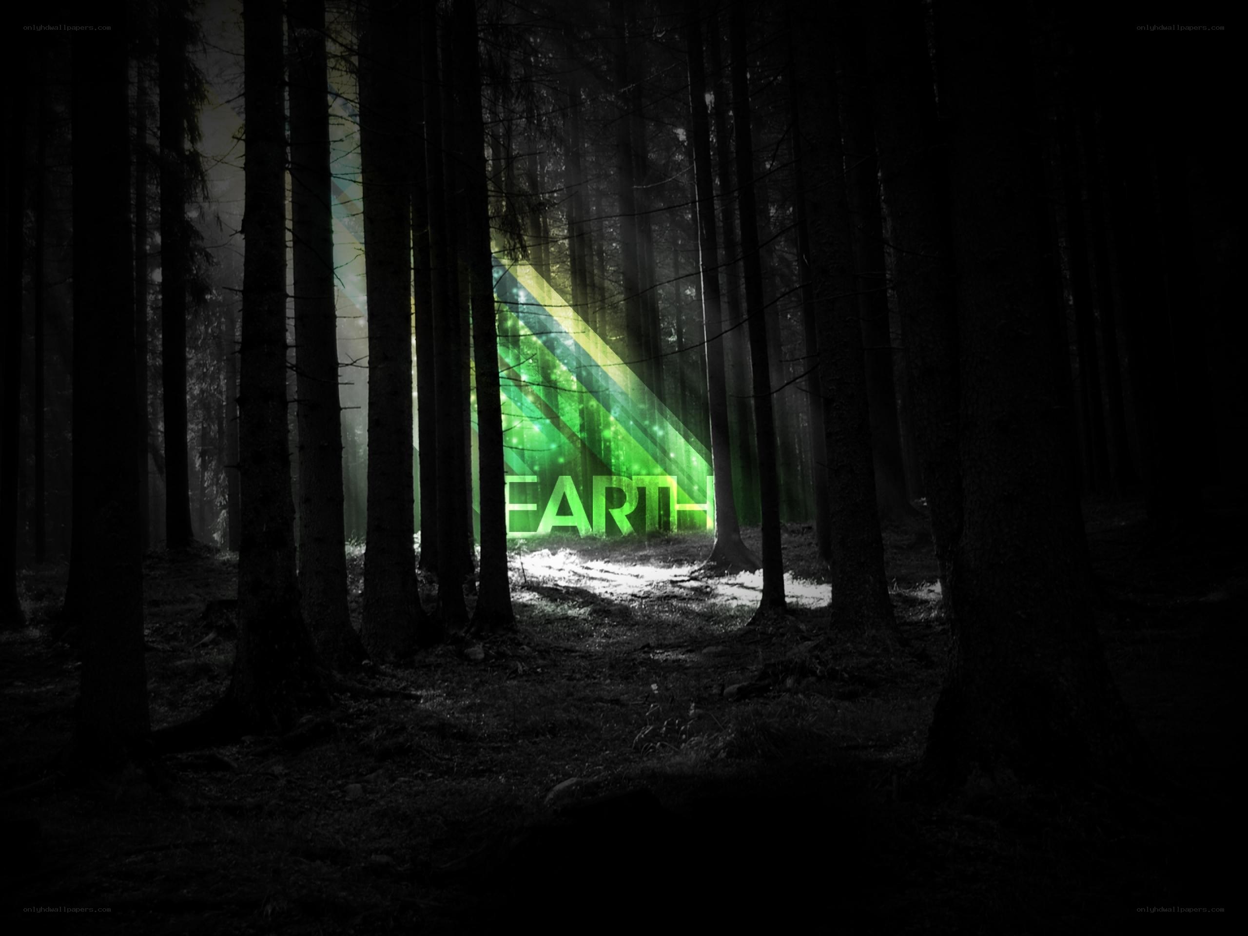 green light in dark forest