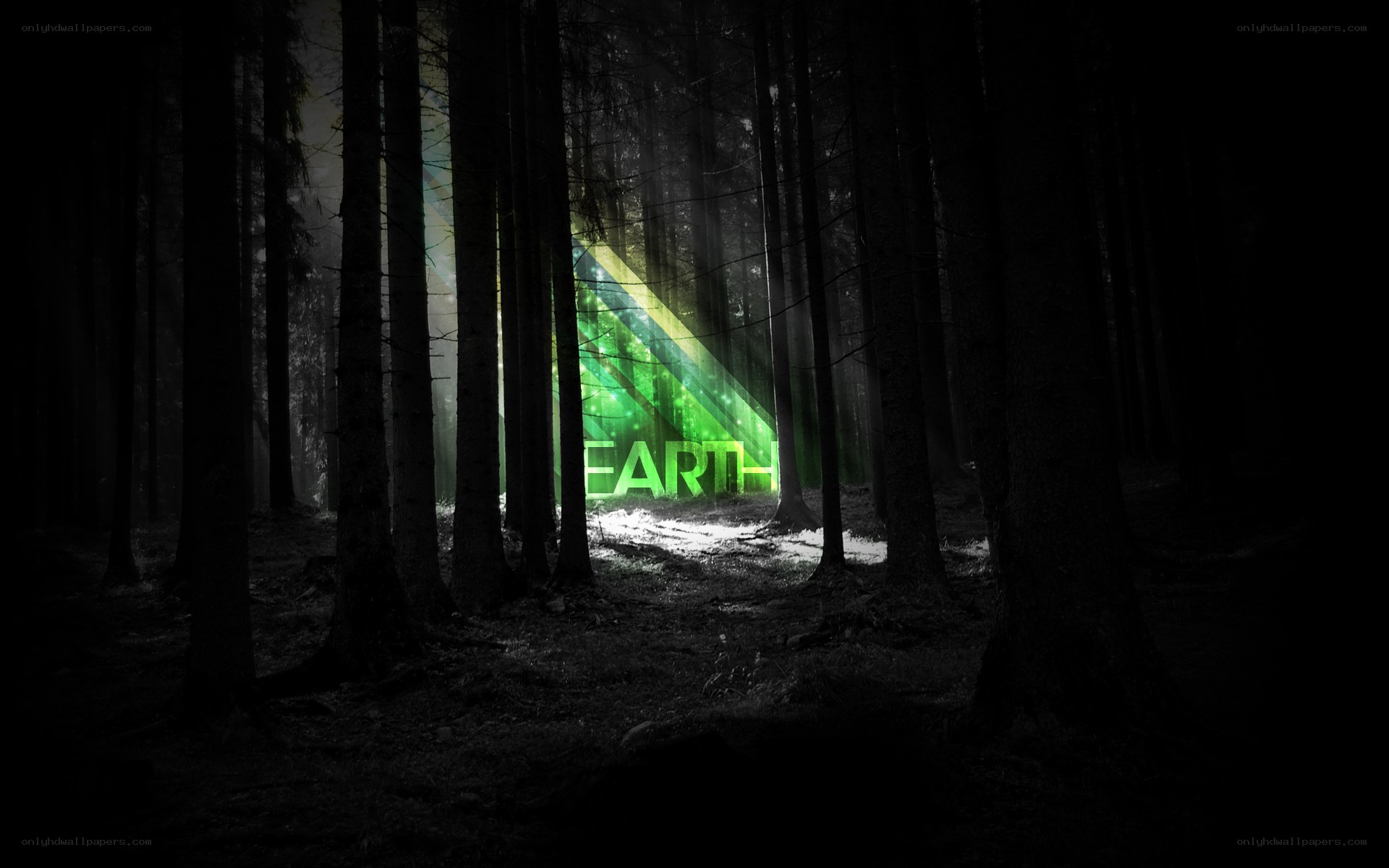 green light in dark forest