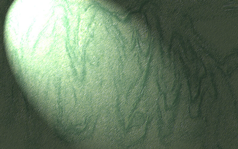 green light on textured surface