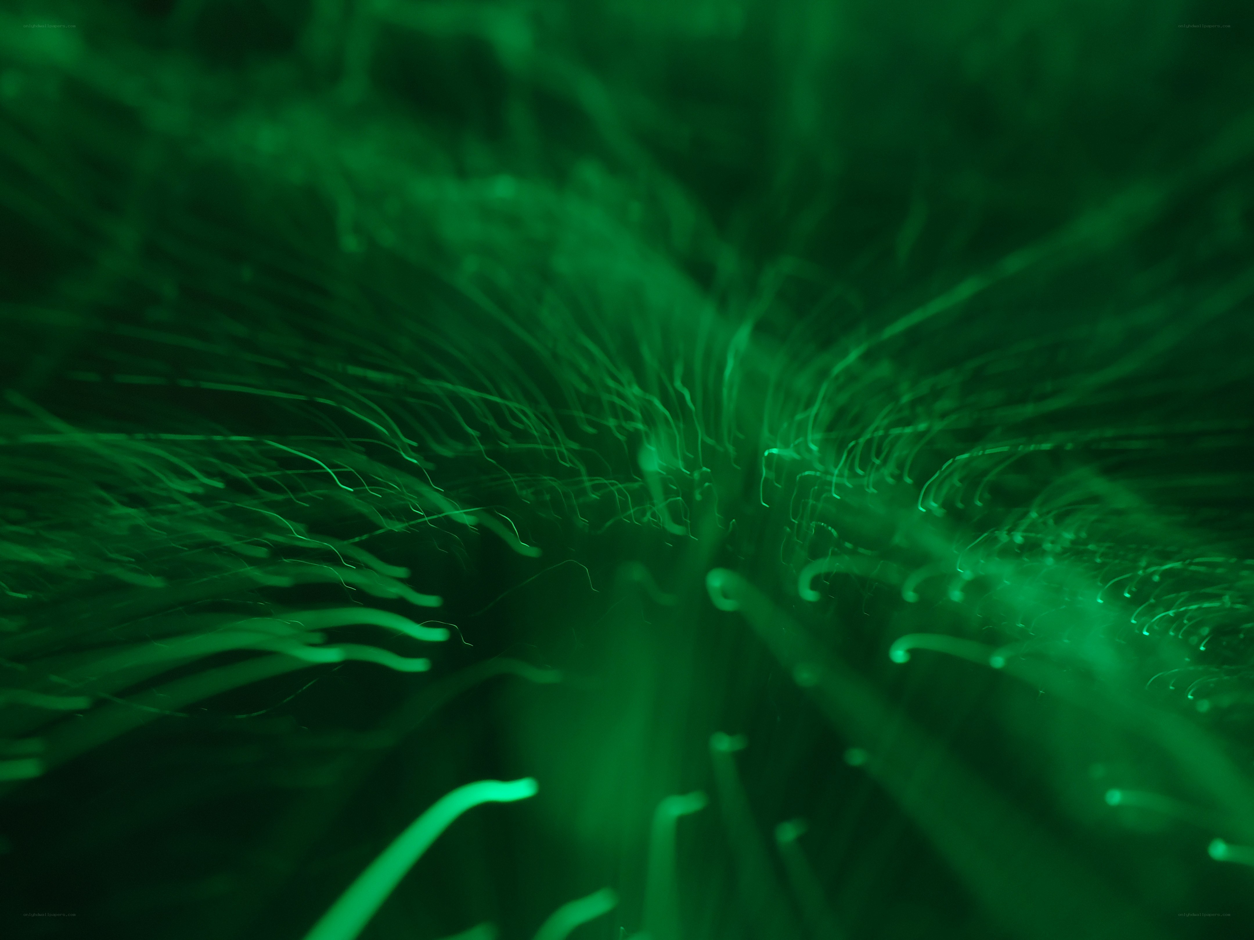 green light trails in motion