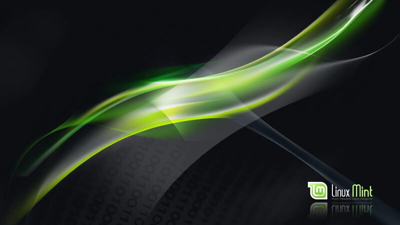 Green Light Waves — Black, Dynamic, Abstract, Binary Code, Logo