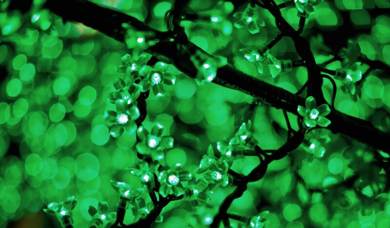 green lights on tree branches