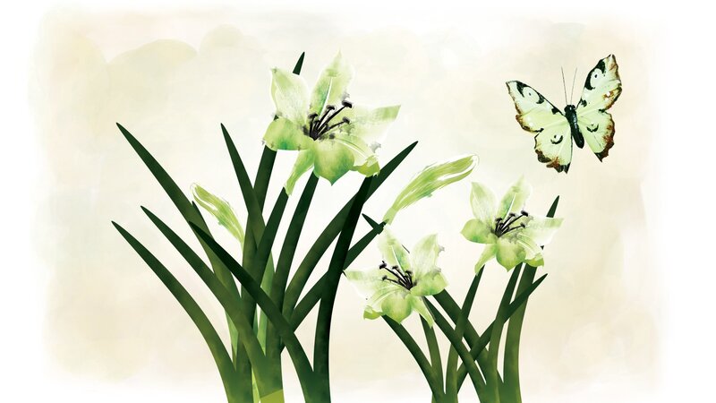Green Lilies and Butterfly