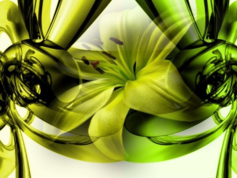 Green Lily Flower — Vibrant