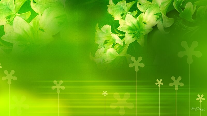Green Lily Flowers