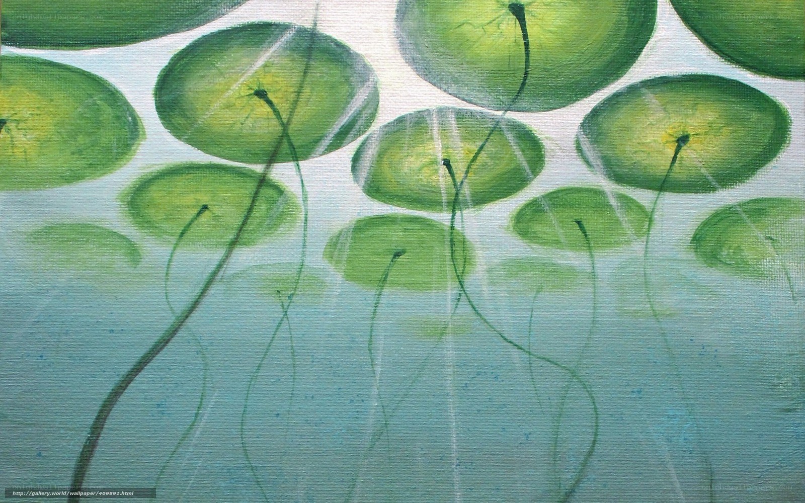 green lily pads on water