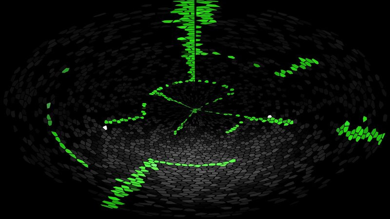 Green Lines on Dark Surface — Black