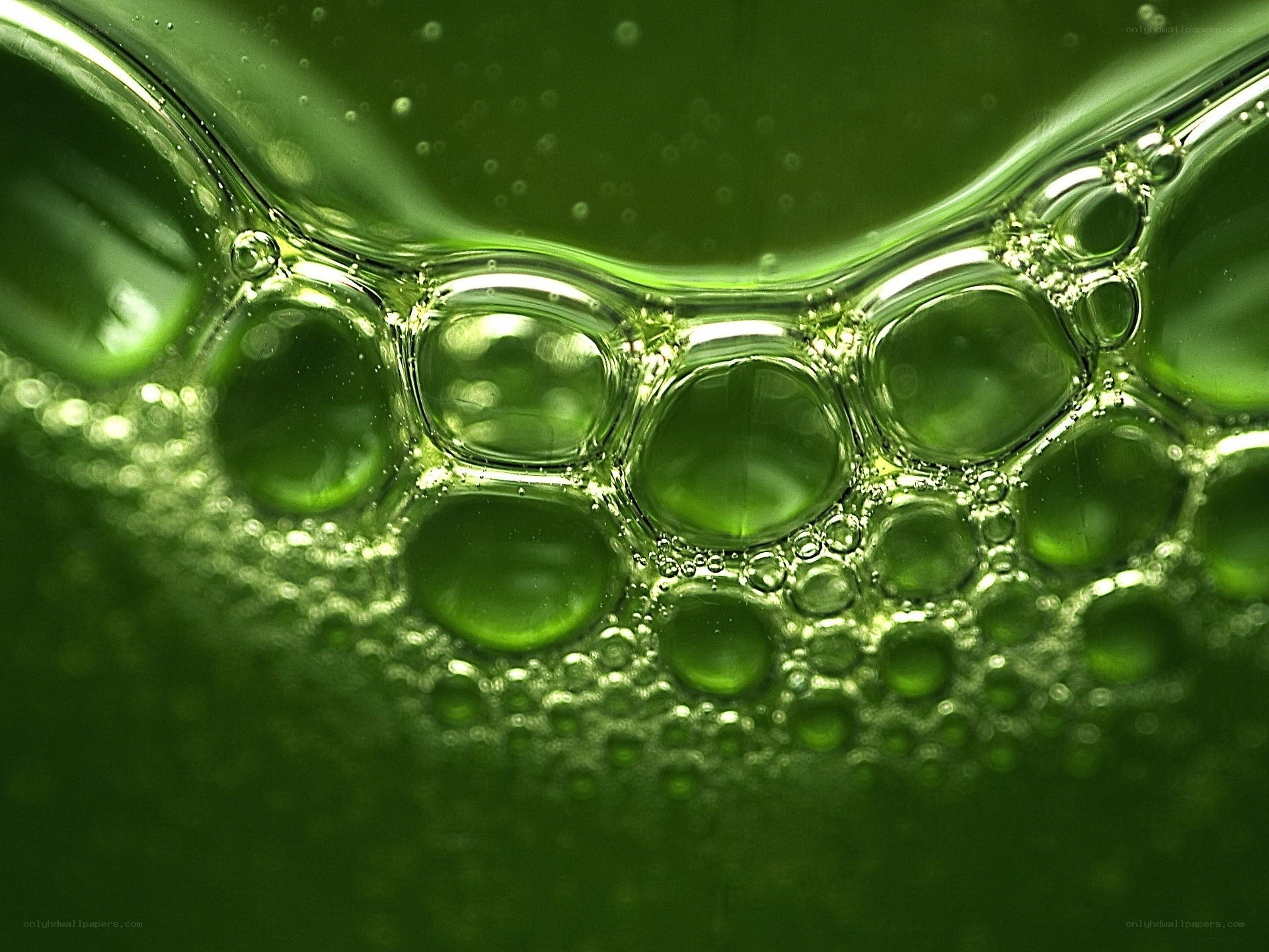 Green liquid bubbles