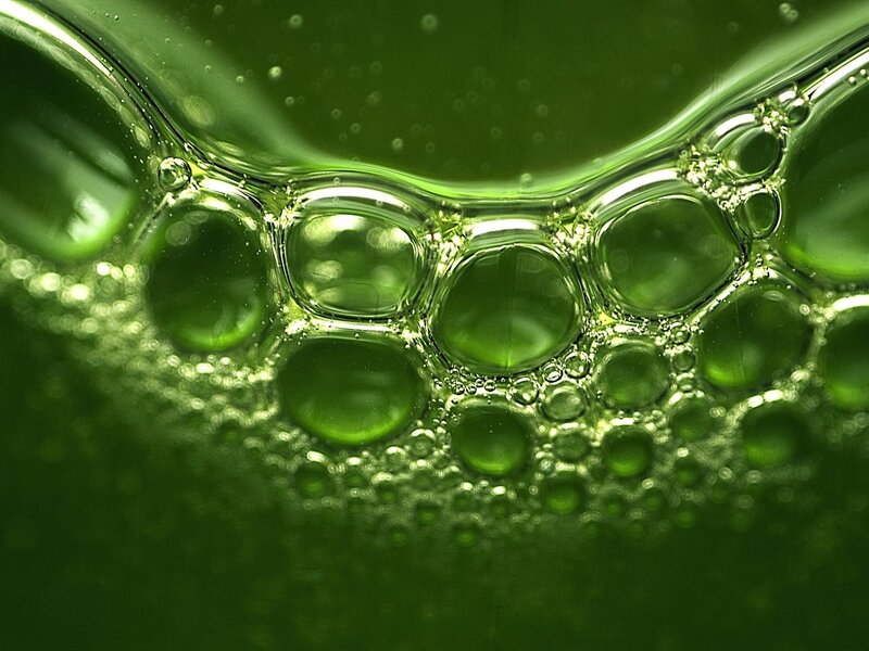 Green Liquid Bubbles — Calm, Photograph
