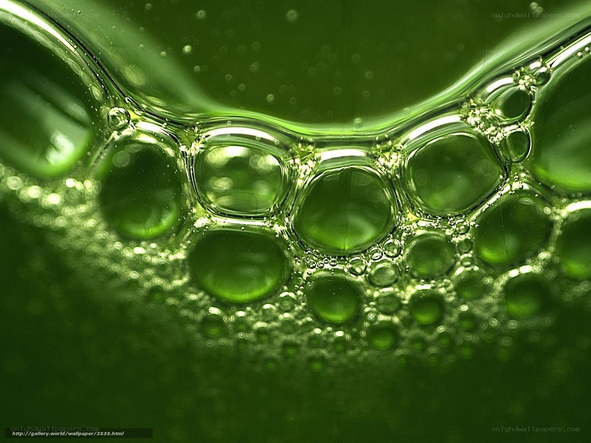 Green liquid bubbles