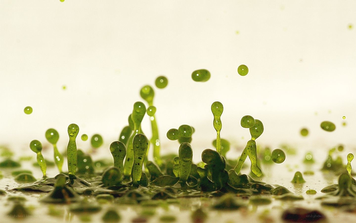 Green liquid droplets in motion