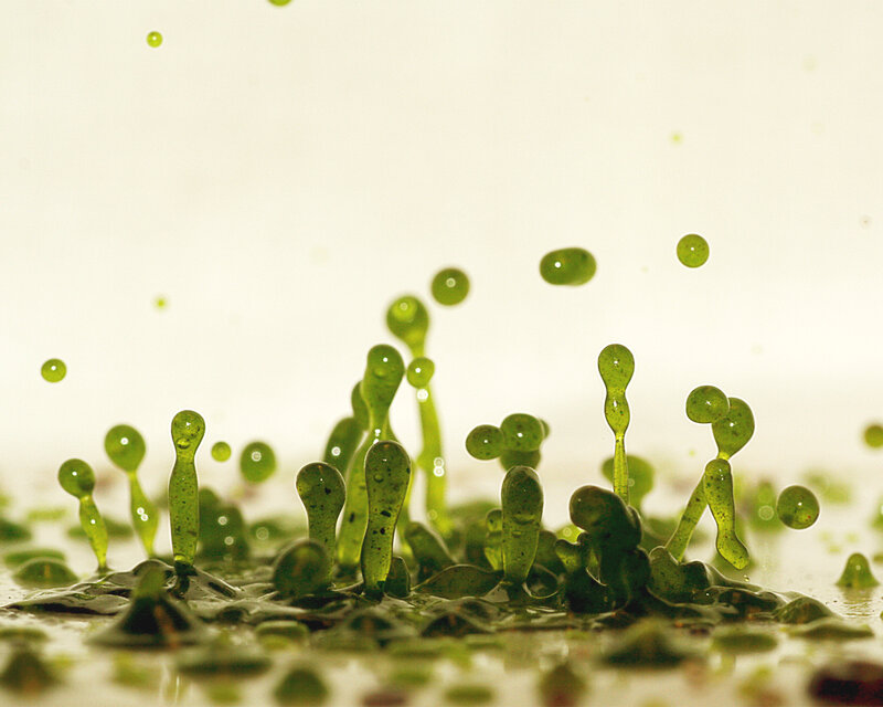 Green liquid droplets in motion