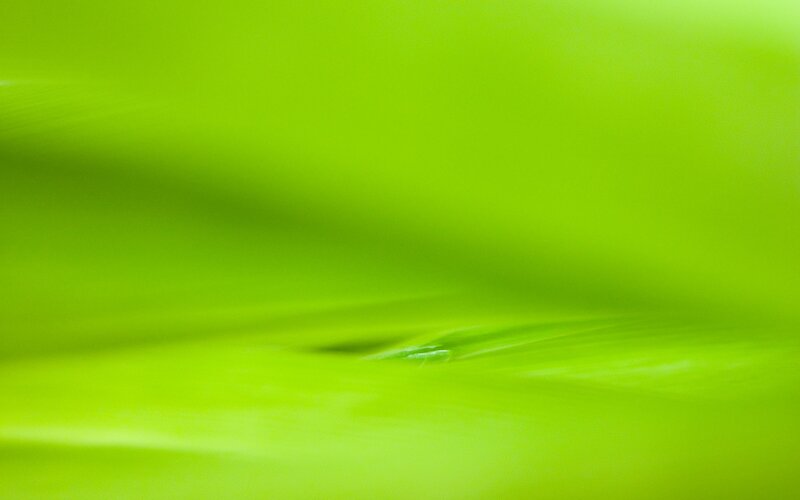 green liquid surface with ripple