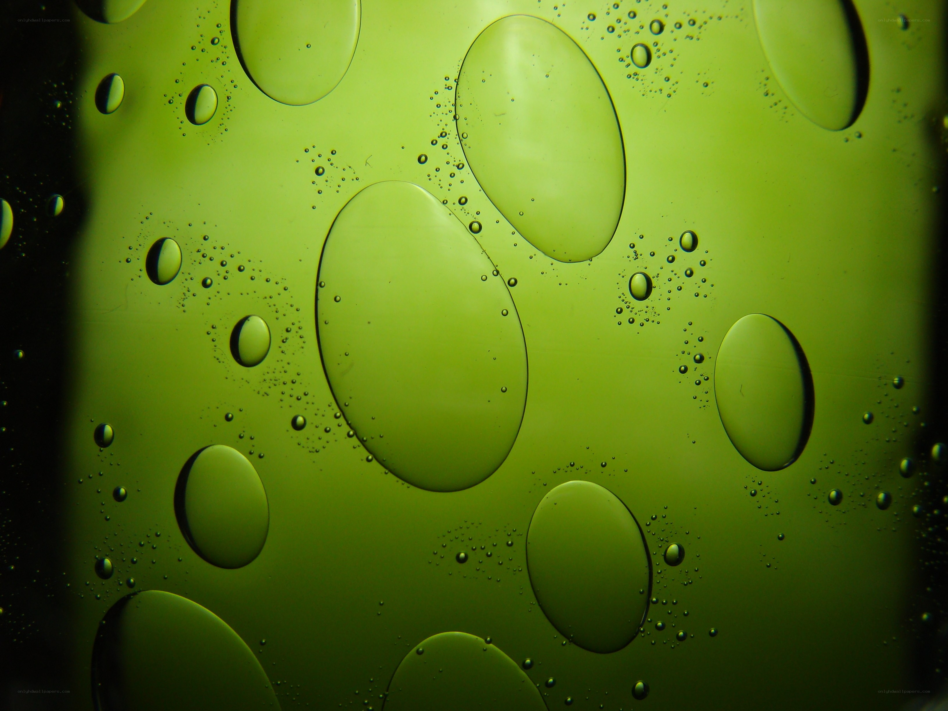 Green liquid with bubbles