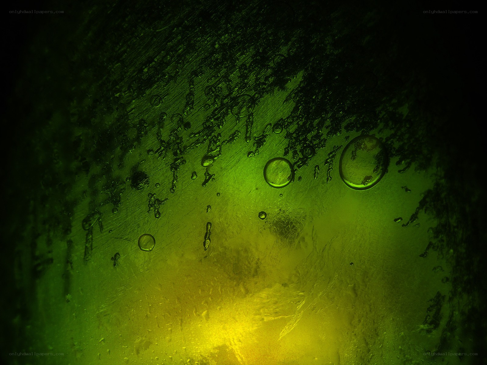 green liquid with bubbles
