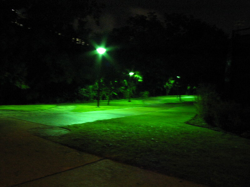 Green-lit Park Path