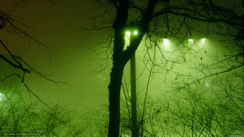 Green-lit trees at night
