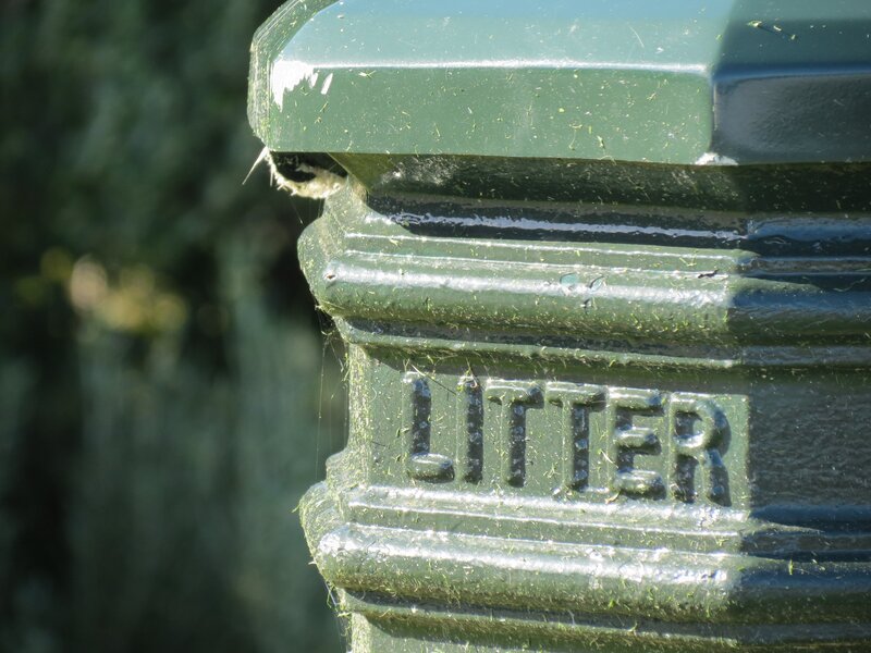 green litter bin with moss