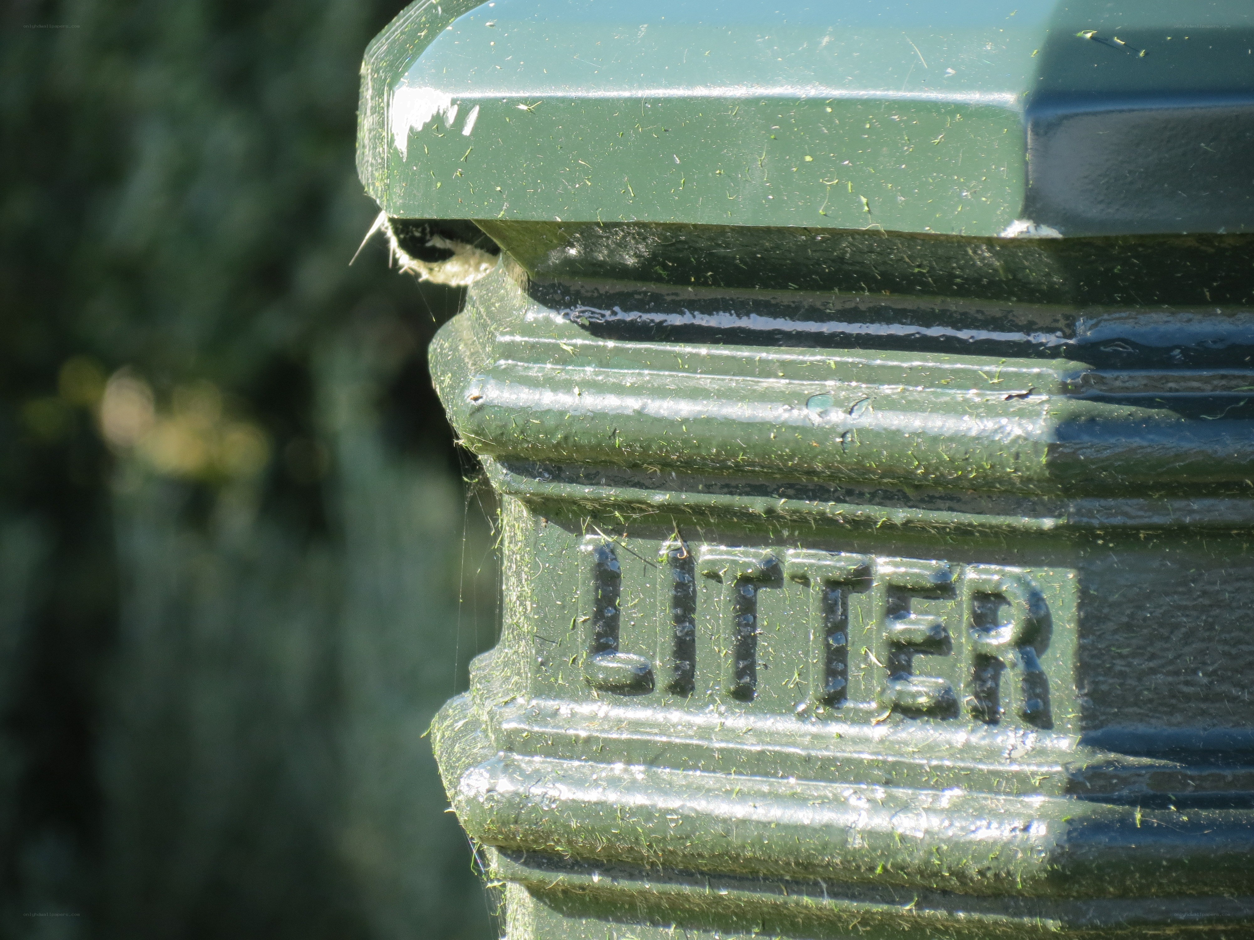green litter bin with moss