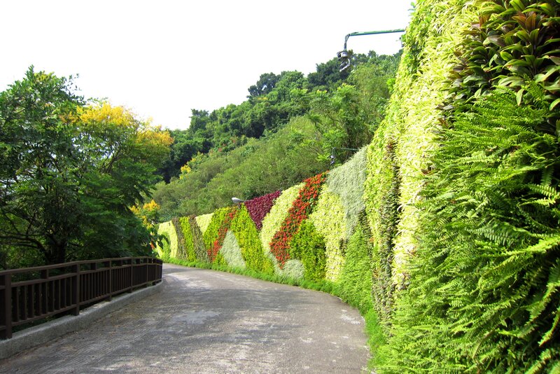 Green Living Wall