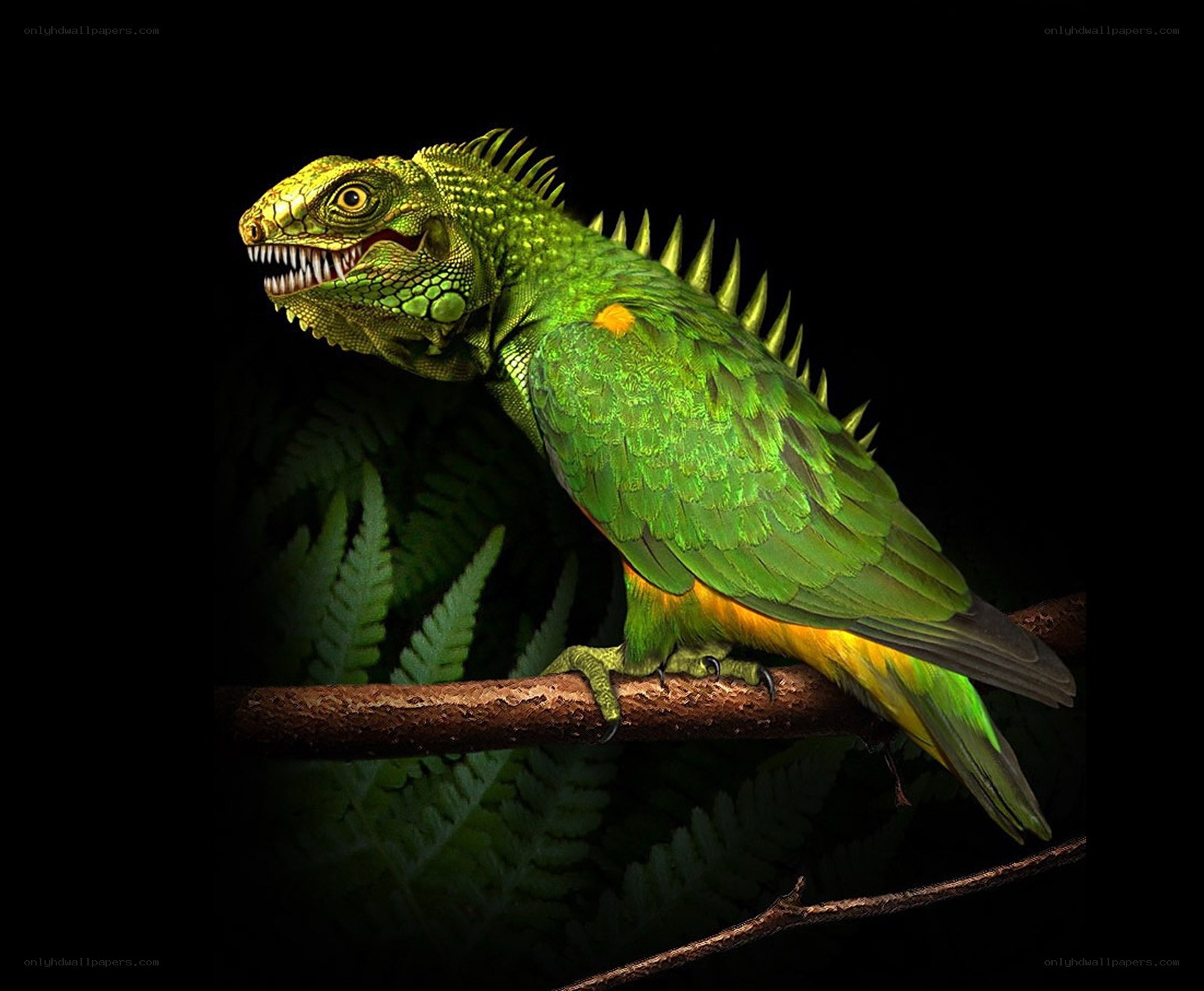 green lizard bird hybrid