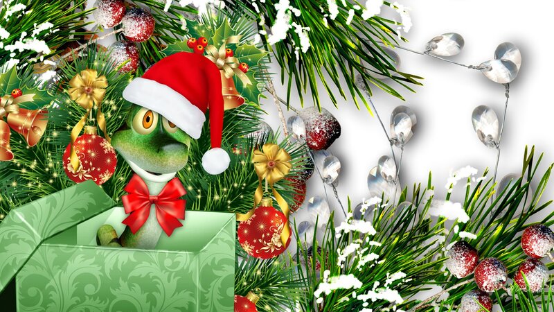 Green Lizard in Gift Box