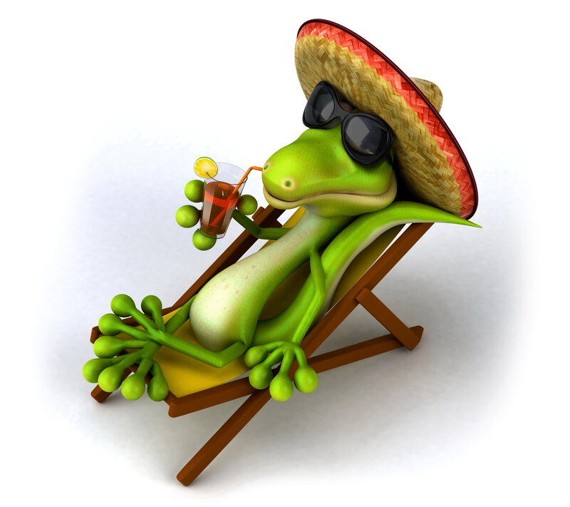 Green Lizard on Lounge Chair