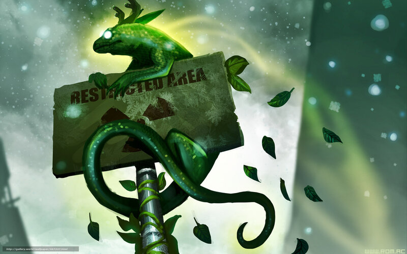 green lizard on restricted sign