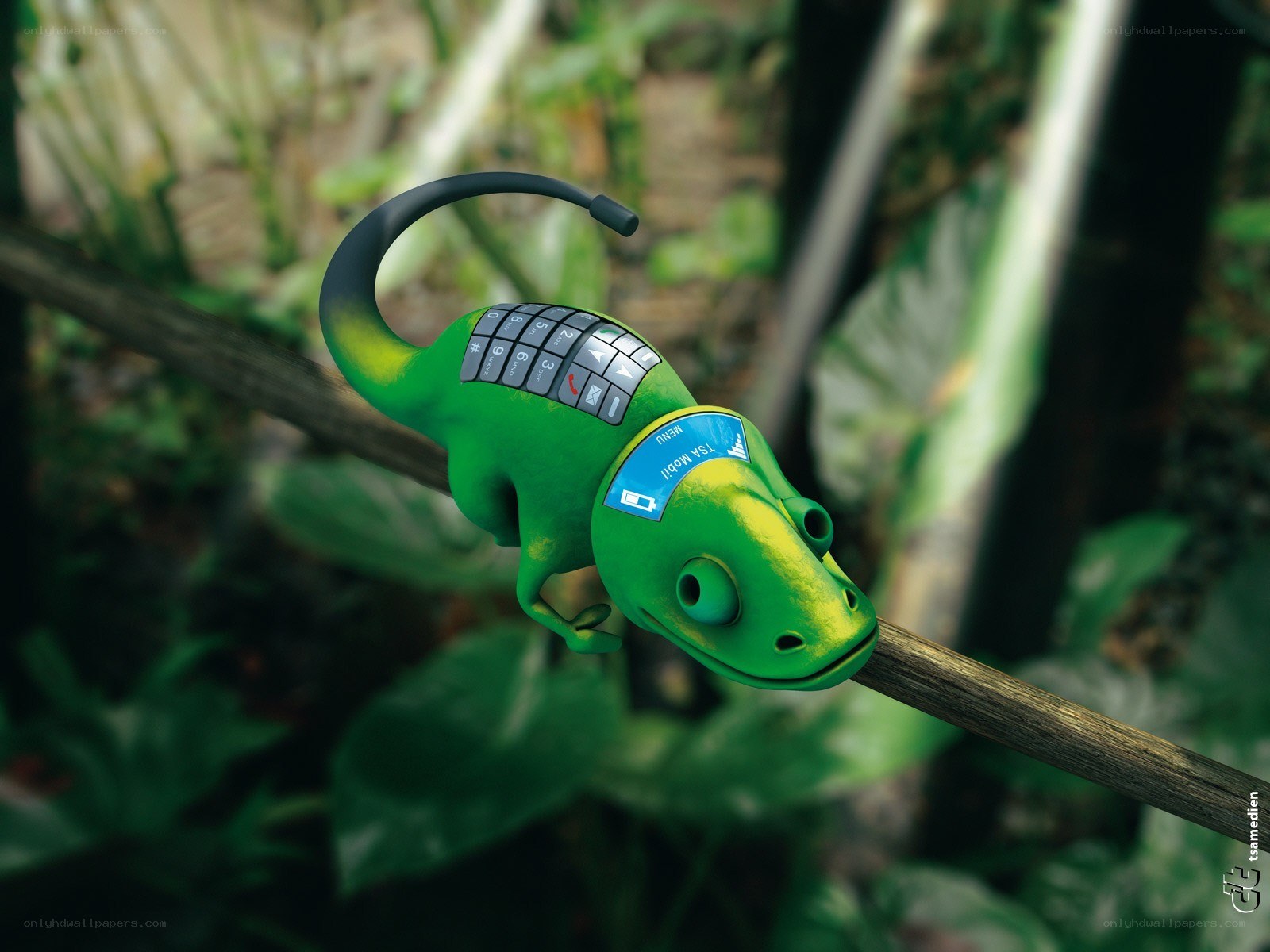 green lizard phone on branch