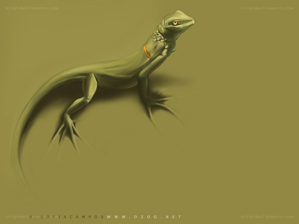 green lizard with orange collar