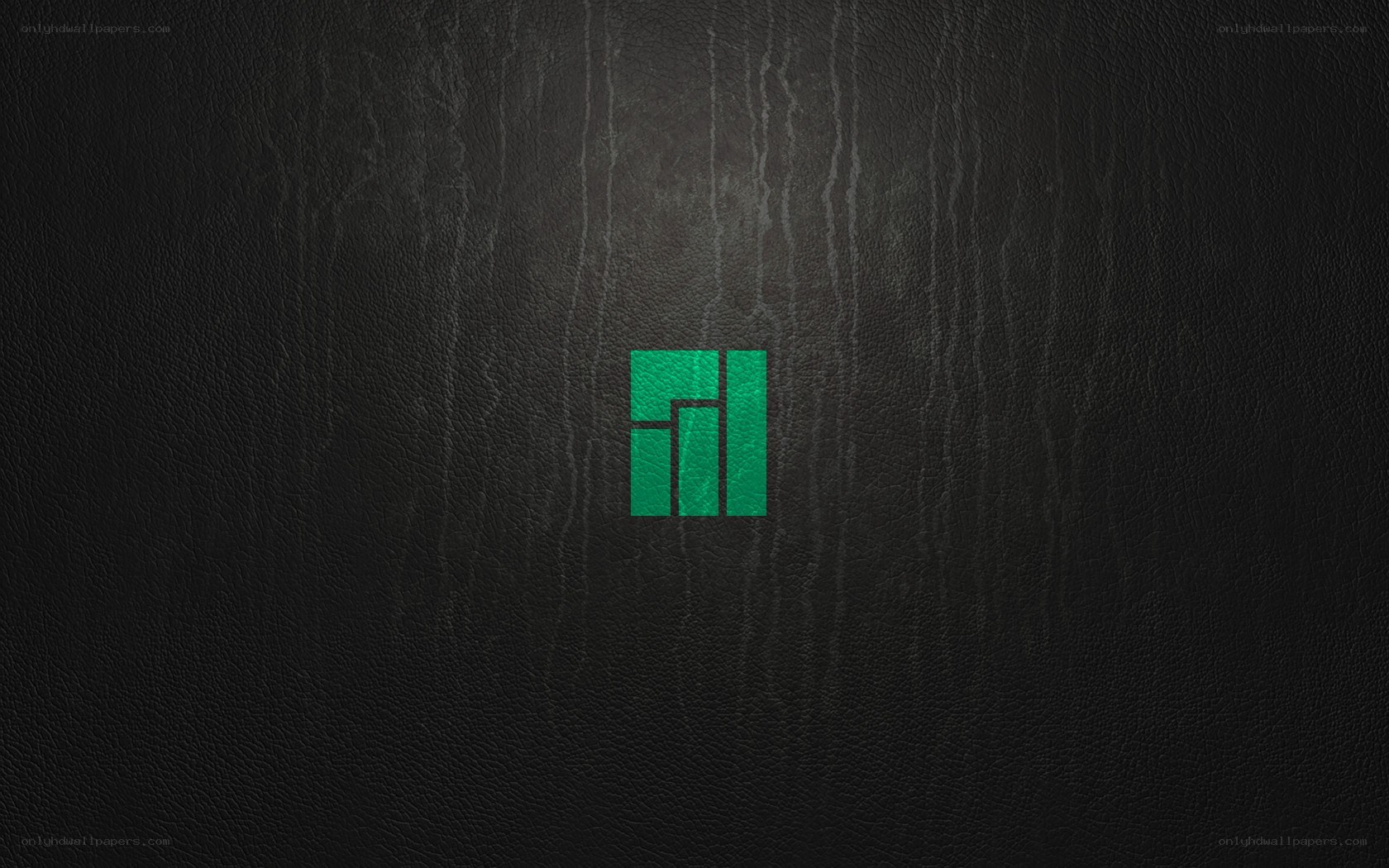 green logo on black leather