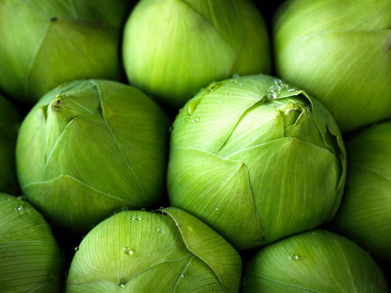 Green Lotus Buds