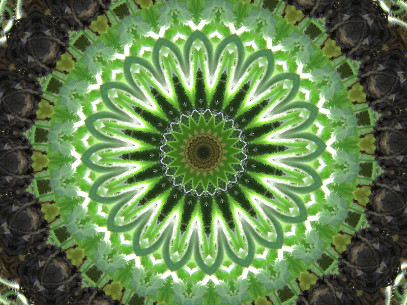 Green Mandala Pattern — Calm